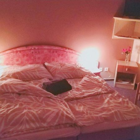Penzion Lara Ceske Budejovice Bagian luar foto